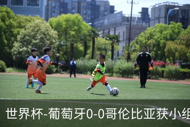 世界杯-葡萄牙0-0哥伦比亚获小组第2 将战克罗地亚